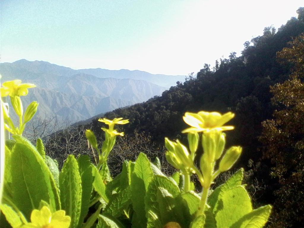 Hotel Ilbert Manor Mussoorie Zewnętrze zdjęcie